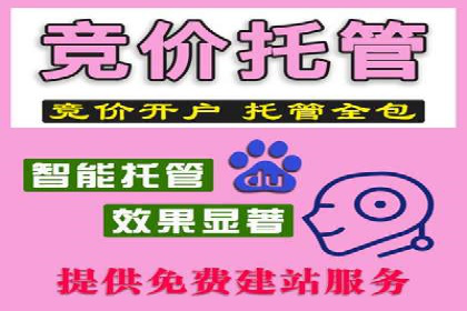 百度竞价广告投放案例剖析